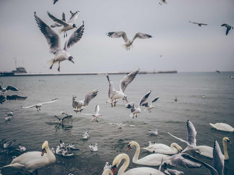 sudoku subset counting